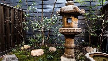 ガーデン ビュー / 8