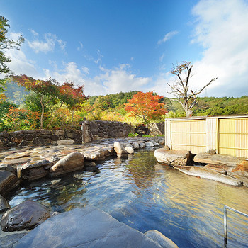 広い和室に貸切風呂で家族の濃密な時間を4069241