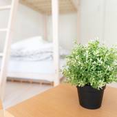 Casa Blanca Guesthouse（長崎県 ゲストハウス・ホステル・ドミトリー） / 4