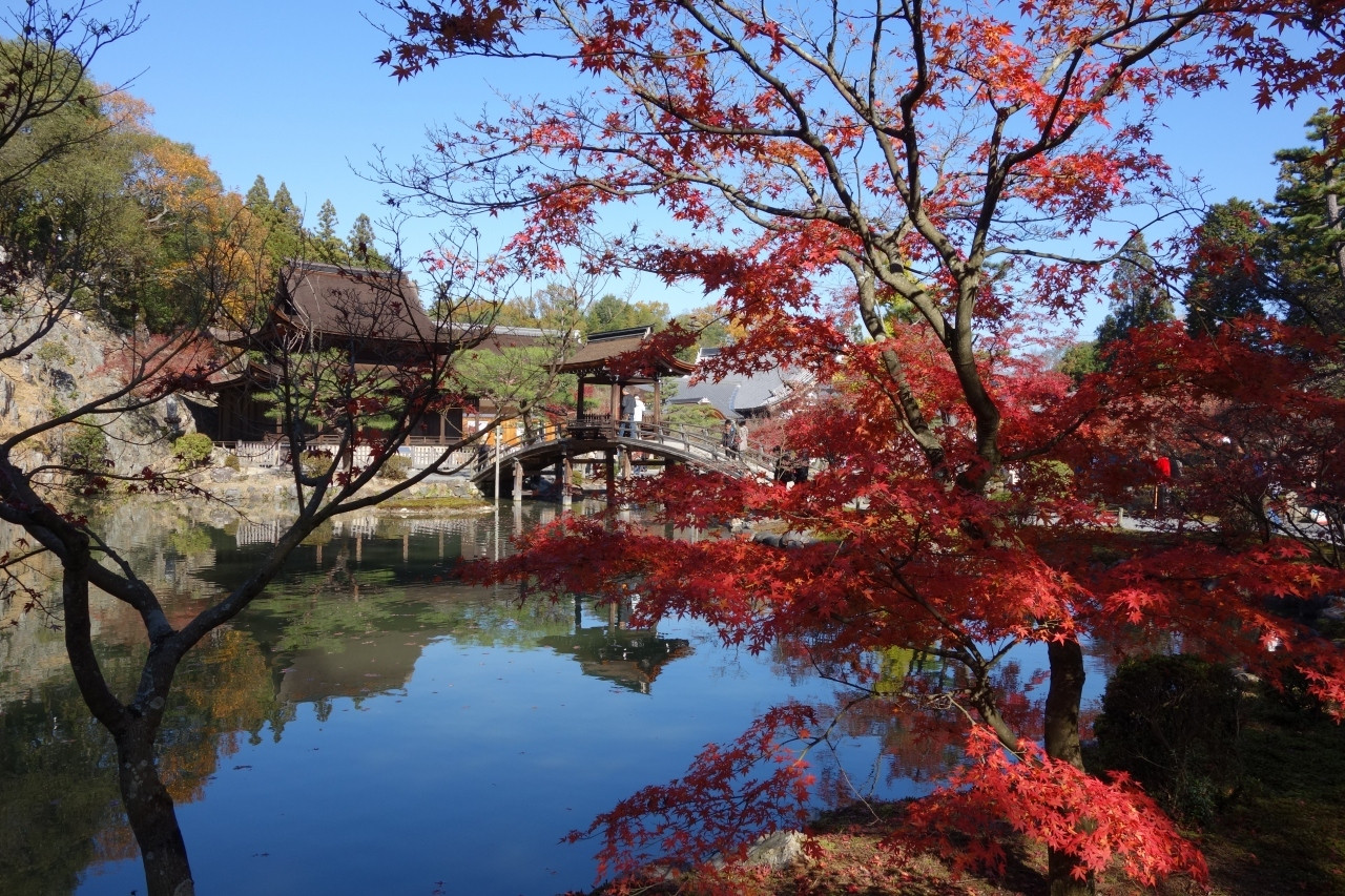 虎渓山永保寺庭園 / 岐阜県3720144