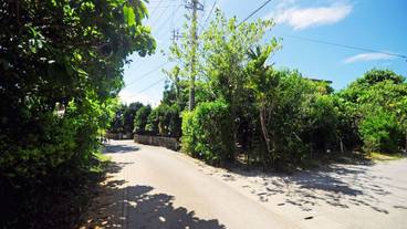 施設からの眺望 / 12