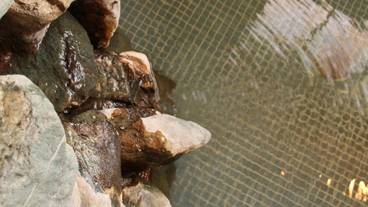 屋内スパ浴槽 / 6