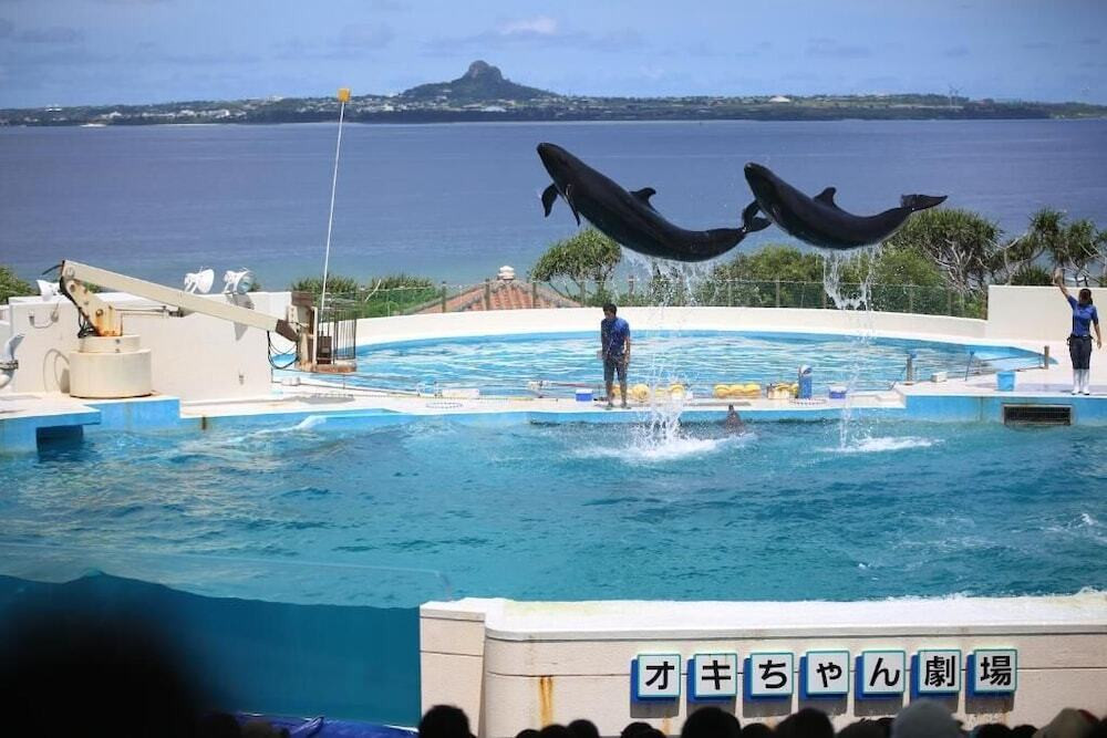 子供向けアクティビティ