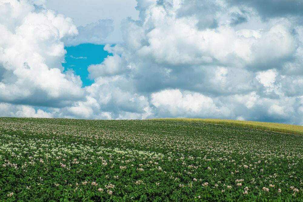 施設からの眺望