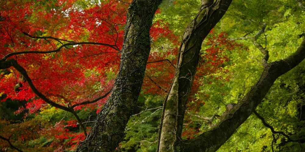 部屋からの景観