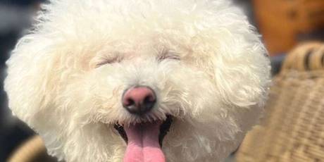 築地ビジネスホテルバン