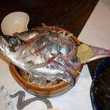 いたる 本店(イタル)