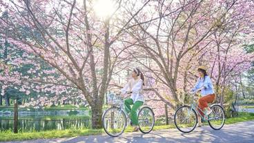 ザ・プリンス 軽井沢（ザ・プリンス カルイザワ） / 1