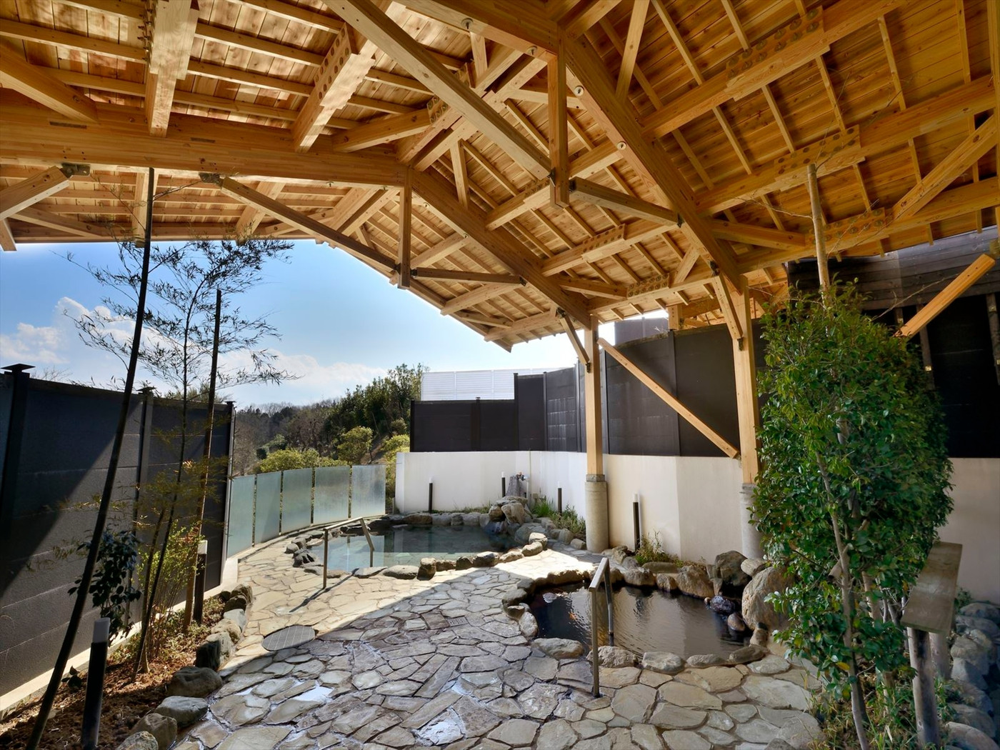 大きなプールに大はしゃぎ!天然温泉リゾートホテル3659131