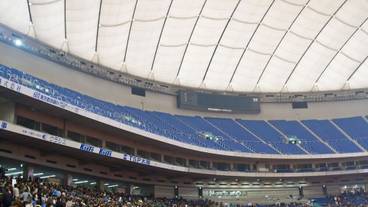 観光スポット / 14