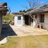 KOURIJIMA ぶどうの樹（沖縄県 民宿） / 2