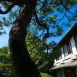 からつ温泉 かぐや姫の湯 旅館 綿屋