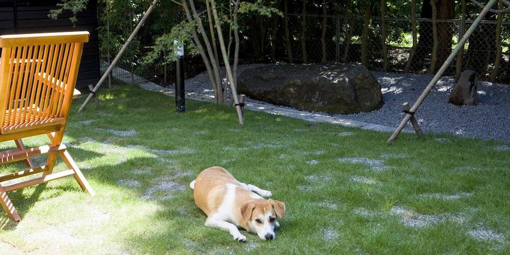 ペットフレンドリールーム一例 / 4