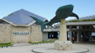 沖縄美ら海水族館 / 2