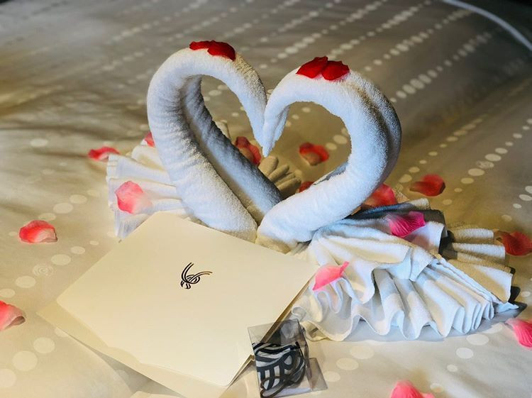 協力していただいたサプライズも感動的!