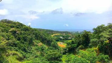 部屋からの景観 / 22