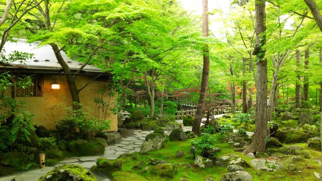 ホテルの日本庭園 / 1