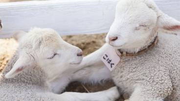 観光スポット / 4