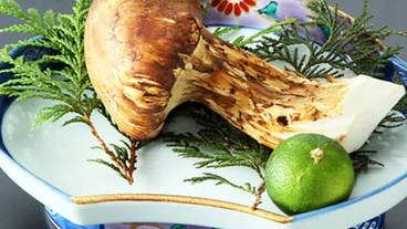 食事・飲み物 / 18