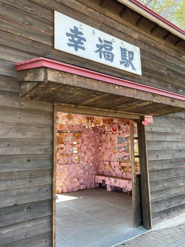 zonomeguさんの写真 / 1