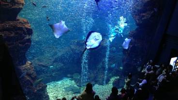 施設からの眺望 / 6