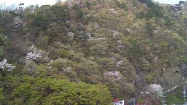 施設からの眺望 / 12