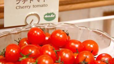 ビュッフェ / 23