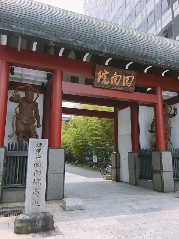 観光スポット