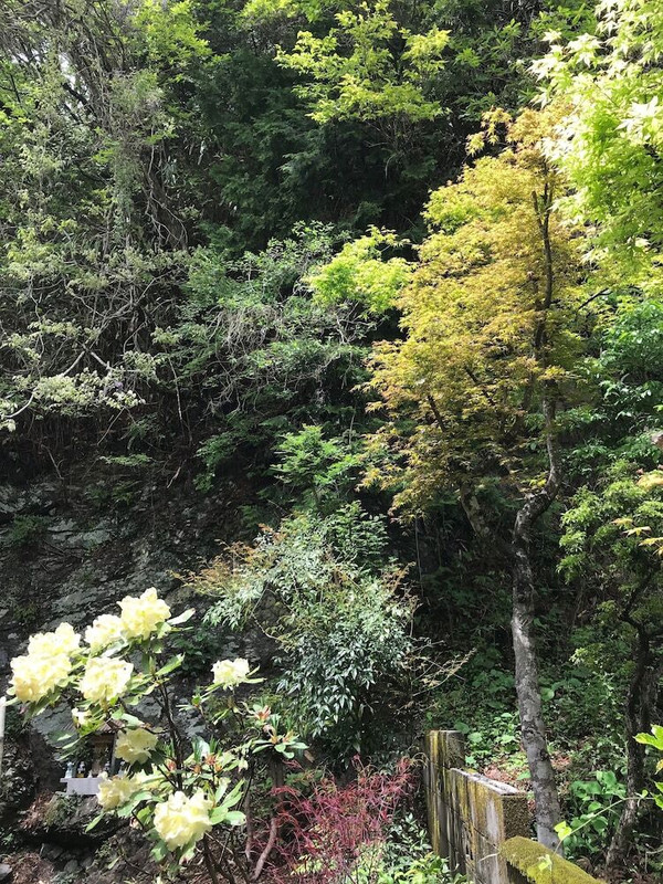 部屋からの景観