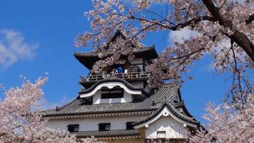 観光スポット / 10