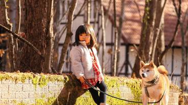 ペット同伴可 / 6