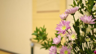 トラディショナル ルーム (can't serve dinner after 8 PM checkin)