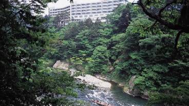 施設の敷地 / 31