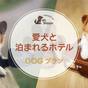 「温泉露天風呂付き客室」でワンちゃんと一緒にくつろぐ【素泊まり】 | ラフォーレ倶楽部 箱根強羅 湯の棲