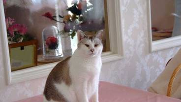 施設内の設備 / 1