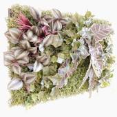 おうちホテル宮島口（広島県 アパートメント） / 4