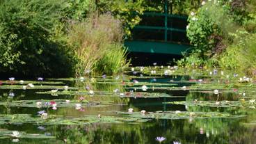 ランド ビュー / 30