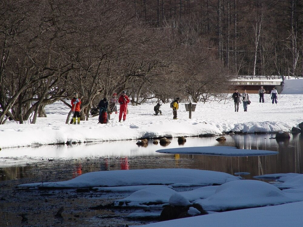 スノー スポーツとスキー