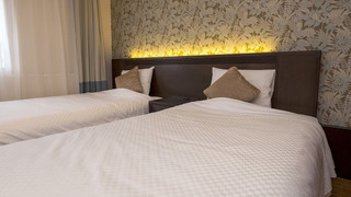 Superior Twin B (Bathtub, Bed Size 110cm, Two Beds With Sofa Bed, Non-smoking, Max. occupancy: 3)