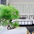 THE ROOT2 HOTEL