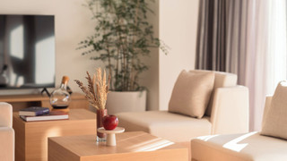 ジュニア スイート