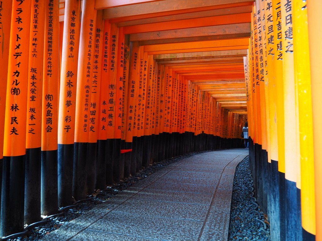 京都でも初詣にはたくさんの人がやってきます1094832