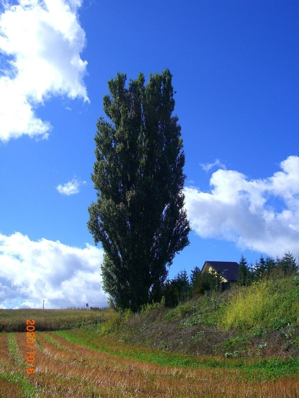 施設からの眺望