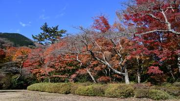 箱根小涌谷温泉 水の音(ハコネコワクダニオンセン ミズノト) / 3