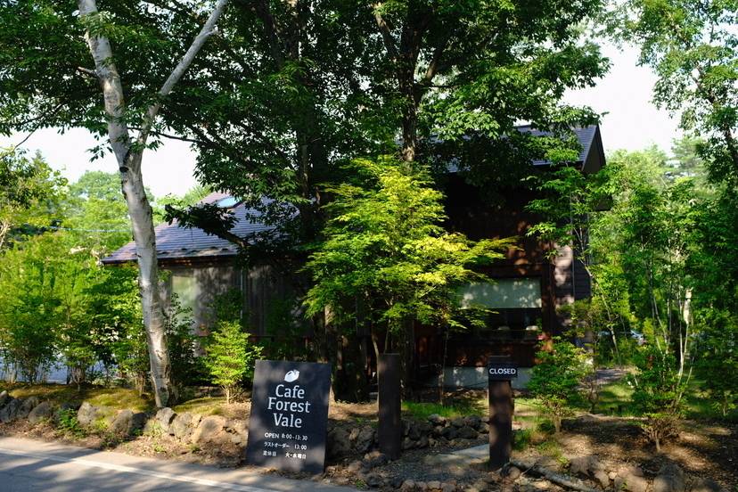 フォレスト ヴェール④ / 4