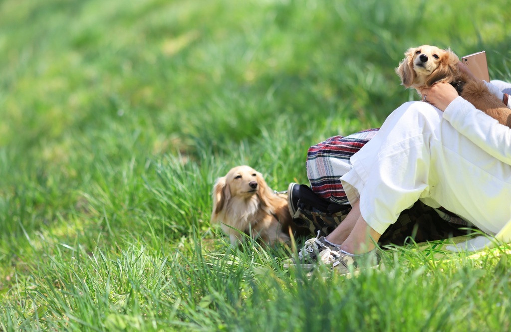 意識的に、”身体と頭を休ませる日”を作って。3924769