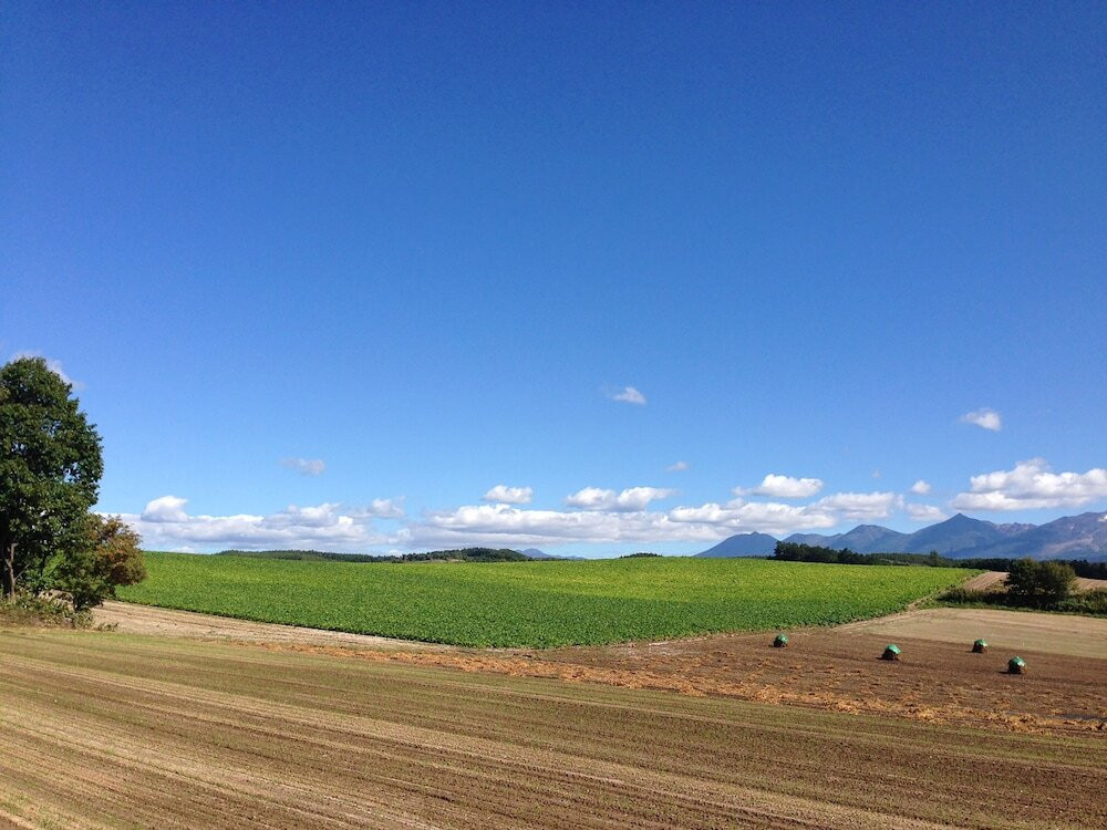 施設からの眺望