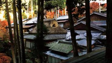 施設からの眺望 / 22