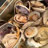 鈴木水産(スズキスイサン)