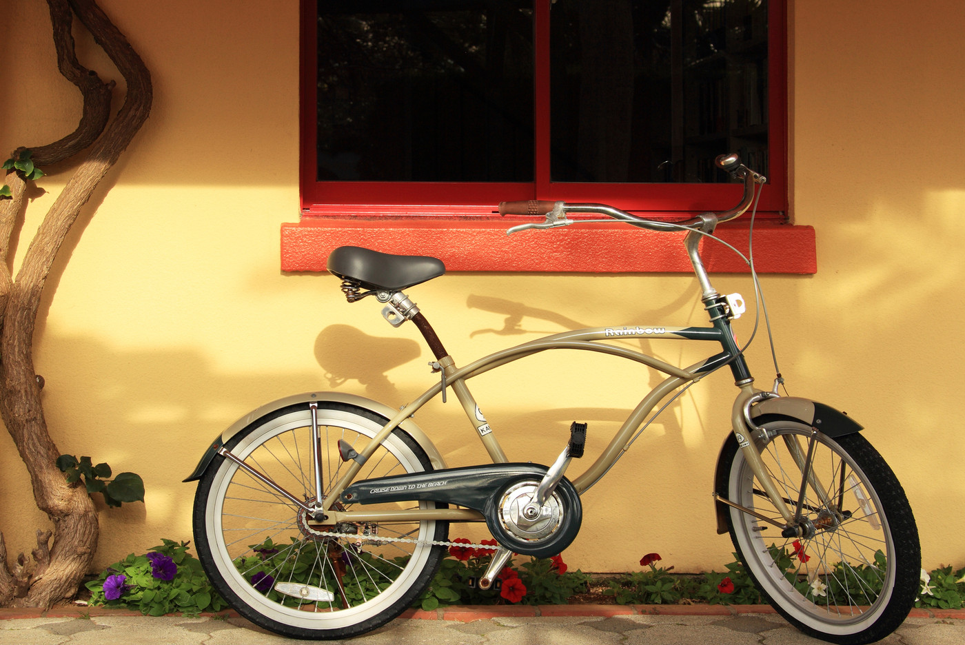 アクティブなサイクリングデートもおすすめ3392422